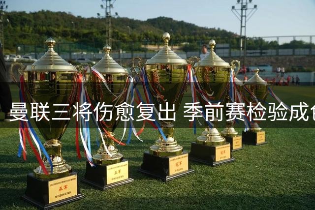 曼联三将伤愈复出 季前赛检验成色