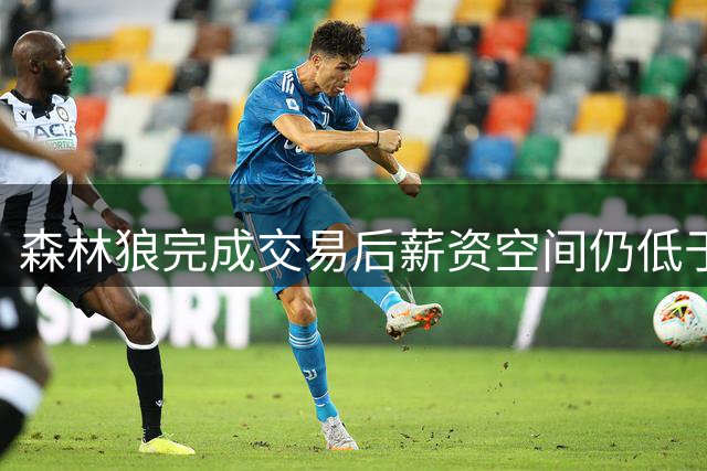 森林狼完成交易后薪资空间仍低于奢侈税线