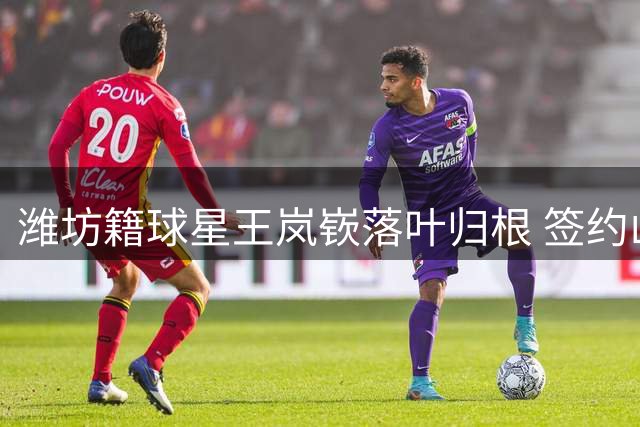 潍坊籍球星王岚嵚落叶归根 签约山东高速男篮