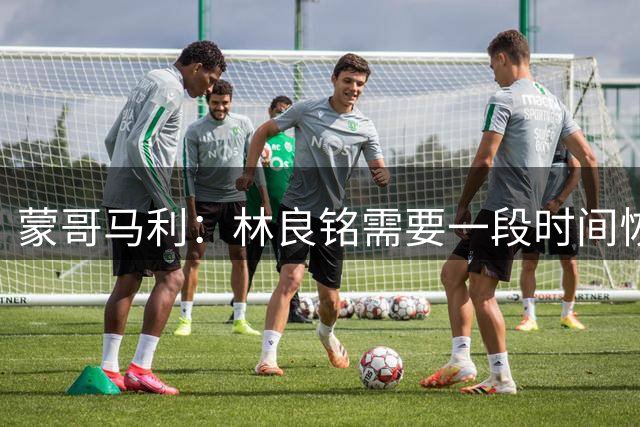 蒙哥马利：林良铭需要一段时间恢复，会密切关注斯帕吉奇的情况