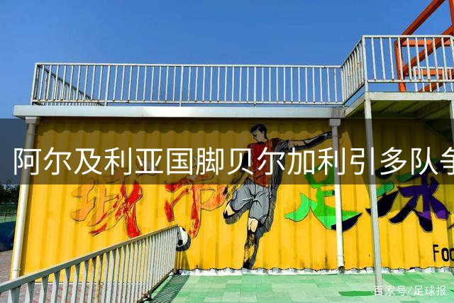 阿尔及利亚国脚贝尔加利引多队争夺 维罗纳标价千万欧元