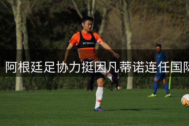 阿根廷足协力挺因凡蒂诺连任国际足联主席